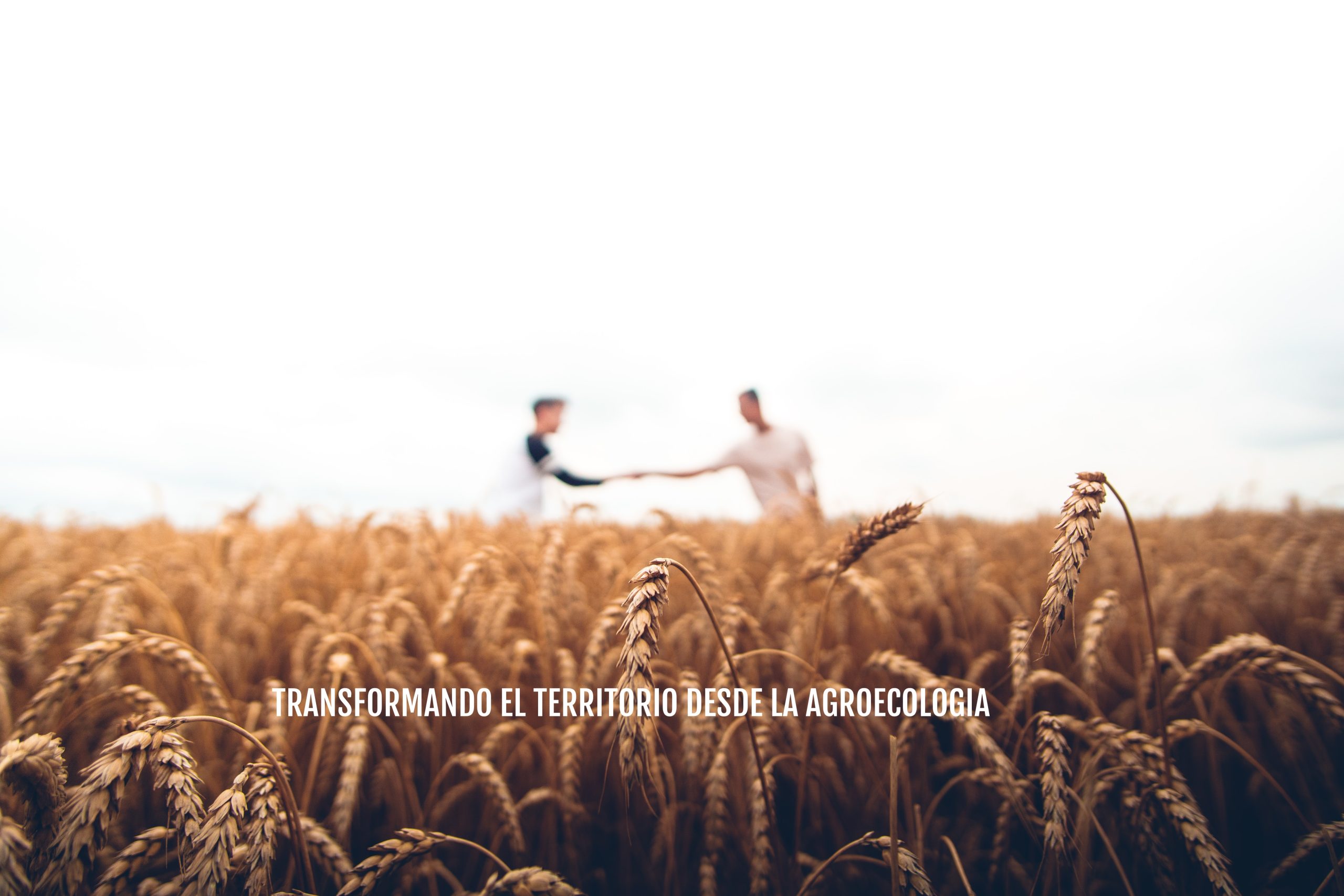 TRANSFORMANDO EL TERRITORIO DESDE LA AGROECOLOGIA - Sustraiak Habitat ...